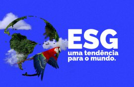 ESG (Environmental, Social and Governance): uma tendência para o mundo